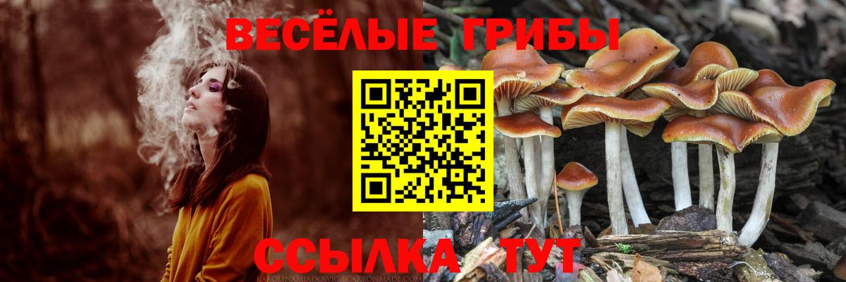 Галлюциногенные грибы MAGIC MUSHROOMS Полевской