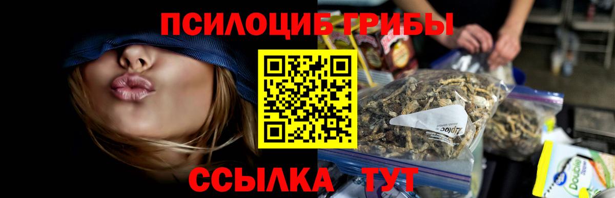 Полевской  Псилоцибиновые грибы Psilocybe  Псилоцибиновые грибы Psilocybe  Вход с VPN 